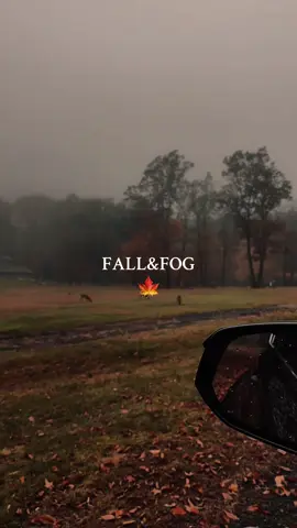 🍁 fall #autumn #fall #fyp #fypシ゚viral #fypageシ 