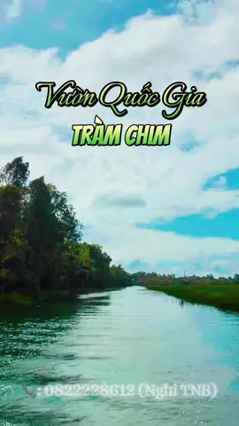 Vườn Quốc Gia Tràm Chim - Chìm đắm trong không gian yên bình, xanh mượt của thiên nhiên ✨✨🛶  #TNBTRAVEL #NghiTnb #dulich #tourmientay #vuonquocgiatramchim 