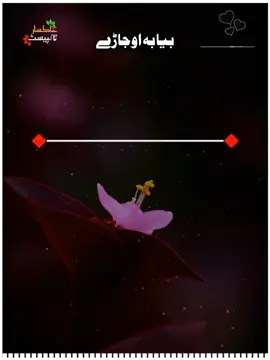 #fouryou #veralvideo #تاجک__اوزبگ__پشتون__هزاره__ترکمن #treding #pageforyou 