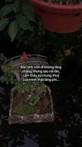 …#tamtrang #story 