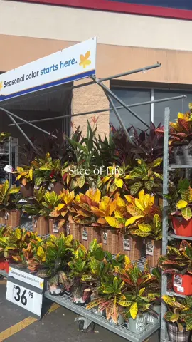 Another snapshot of my day blended together☺️ #CapCut #fypシ #oniaizzle #fypシ゚viral #fypage #dillydallying #sliceoflife #dayinmylife #floridainfluencers #viralvideos #foryoupage   @Naturium @Prequelskin @Caudalie @LaRochePosayUS 