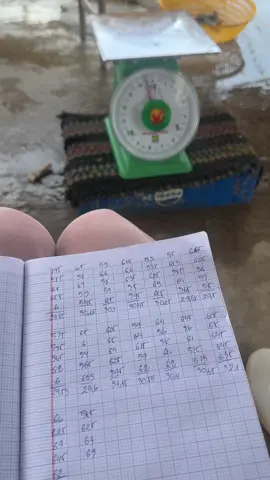 28c hà nội #tomthemientay 