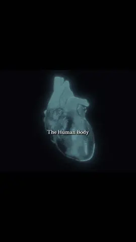 How the human body functions> #anatomy #fypシ #biology #fypage #psychological 