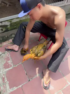 Review nghệ em chinh vũ 10/10 điểm chất lượng 