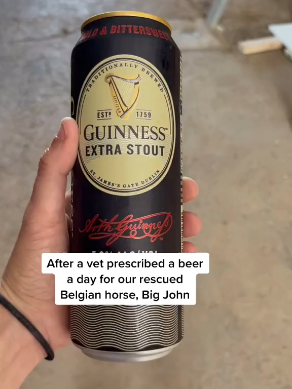 Welcome to Big Beer John Tok. What should he try next_ #SkipTheRinse #rescuehorse #equestrian #colbyscrew #fyp #bigjohn