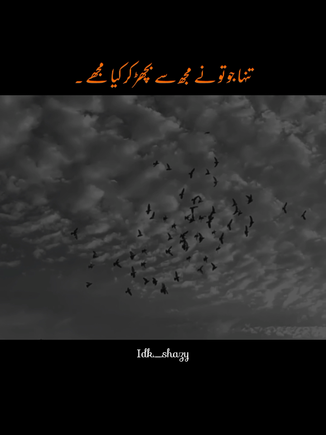 تنہا جو تو نے مجھ سے بچھڑ کر کیا مجھے ۔ #1millionaudition#aesthetic#foryoupage#foryou#poetrystatus 