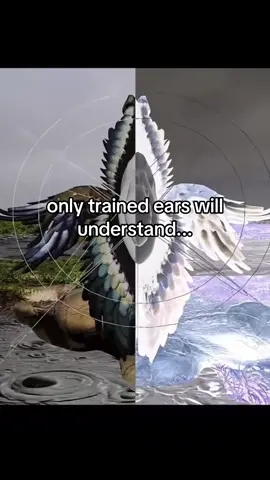 trained ears test #fyp #undergroundmusic 