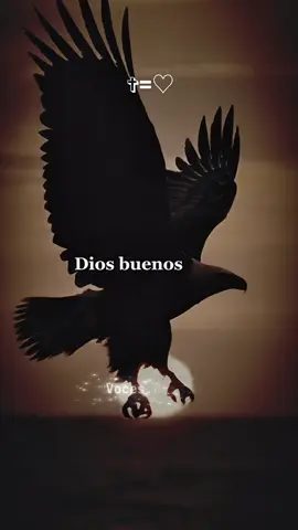 Dios, buenos días, hoy jueves 16 de octubre. #jesus #dios #oraciondelamañana #bendiciones #buenosdias 