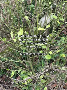 #tuisuyy1 #tamtrang #fyp #fbtxuhuong #dntxuhuong 