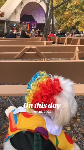 #onthisday 