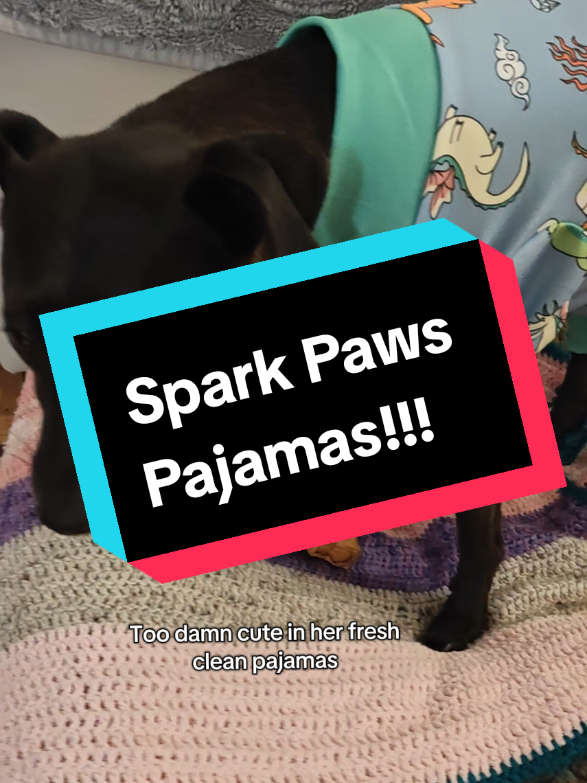 when the weather is starting to get chilly and the full pajamas come on out. By the way, she also has this in yellow with suns... @SPARK PAWS  #sparkpaws #dogsoftiktok #dogclothes #pajamas #dogs 