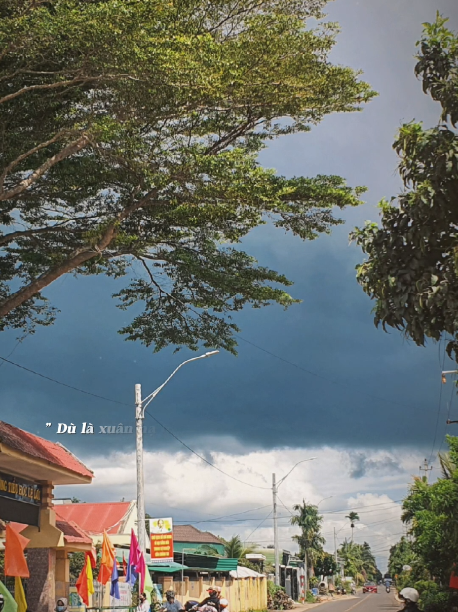 Dù là xuân hạ thu đông đều đẹp biết bao #nhactamtrang #nhachay #nhactiktok #trendmusic #xuhuongamnhac 