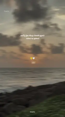 Ow ykow🥲🤍 #viral #fyyyyyyppppppppp #rassha @chanuka_udana1 @Charu__lk🧠 @𝙎𝙖𝙨𝙨𝙖 𝙈𝙖𝙡𝙡𝙞 🪀 @N_e_h_a_r_a D_a_s_u_n @Thisaru  @Thineth | තිනෙත් | உள்ளன 