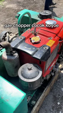 dongpenk #chopperindonesia  #custom #harleydavidson  #choppunk 