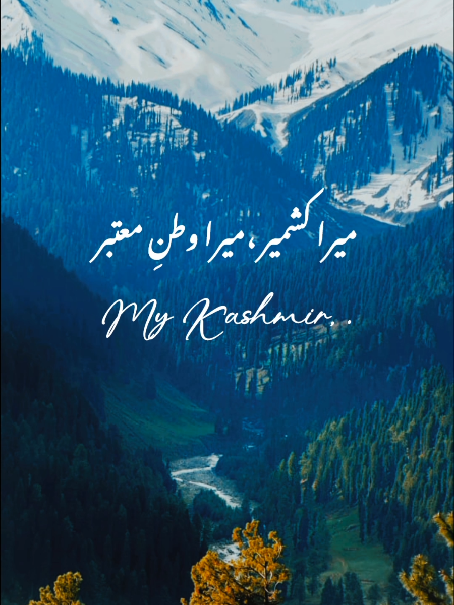 #2linespoetry #lahore #mumbai #isb #gulzarpoetry 