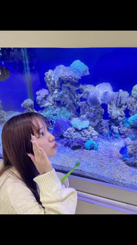 물멍 타임 💭🐠 #07 