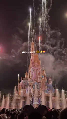 Dream place<<<😫💝✨#fyp #foryou #disneyland #tiktok #trending 