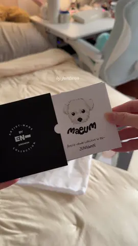 My haul from the @enhypen artist-made collection popup in sg  #enhypen #enha #artistmadecollectionbyenhypen #enhypenpopup 