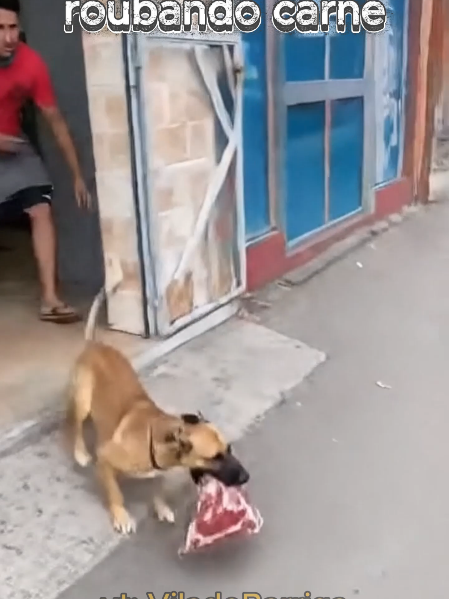 🐶 Cachorros são flagrados ROUBANDO carne de açougue! 😂 #shorts #viral #sora2 #pov #humor  Esses cachorros aprontaram bonito! 😂 Eles foram flagrados roubando carne no açougue, e a reação de quem viu foi impagável! 🥩🐾 Um momento de pura comédia da vida real — impossível não rir com esses ladrõezinhos de quatro patas!    cachorros, cachorros engraçados, cães travessos, roubo de carne, açougue, cachorro roubando comida, videos engraçados, viral, viralshorts, shortsbrasil, comédia, humor, animais engraçados, pets engraçados, dogs, dog videos, cena engraçada, cachorro fofo, ladrão de carne, videos de animais, vídeos virais, momentos engraçados, risadas garantidas, videos curtos, engraçado, pets travessos, cão engraçado, cachorro ladrão, cena hilária, viral 2025, sora ai 2, invite sora 2, shorts#meme #sora #ia #motivacional