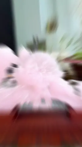 Tp.Gậy Như Ý Mẫu Đơn  Chất liệu: Ngọc..Onyx Kt cả đế: ngang 58cm cao 42cm. Kt đá cao 28cm ngang 58cm