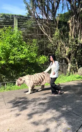 Đi từ từ thôi không là ngã đấy emmmm 😂