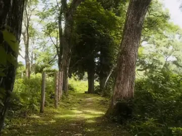 Không phải ngày nào cũng là một ngày may mắn, nhưng hãy cứ sống. Không phải ai cũng sẽ thành thật, nhưng hãy cứ trung thực. Không phải chuyện gì cũng sẽ công bằng, nhưng hãy cứ sống thật chính trực. Không phải bạn yêu ai người đó cũng sẽ yêu lại bạn, nhưng hãy cứ yêu. #thanhxuan #xuhuong #vibes #inmyfeelings #yeutham 