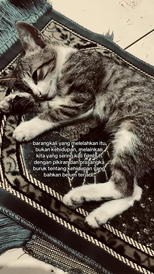 #fyp #trend #slidefoto