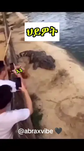 Memes to Make Your Day Better 😝👌 #fyp #viral #tiktok #foryou #funny @TikTokCreators @TrendingMusic @FunnyVideos @MusicMakers @GuitaristsOfTikTok @EthiopianCreators