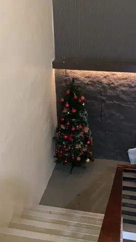 Christmas tree #christmastree #tree #christmas