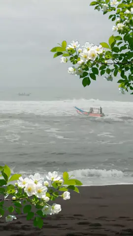 Minggu pagi Wisata Pantai Jatimalang #Pagi #fypシ゚ 