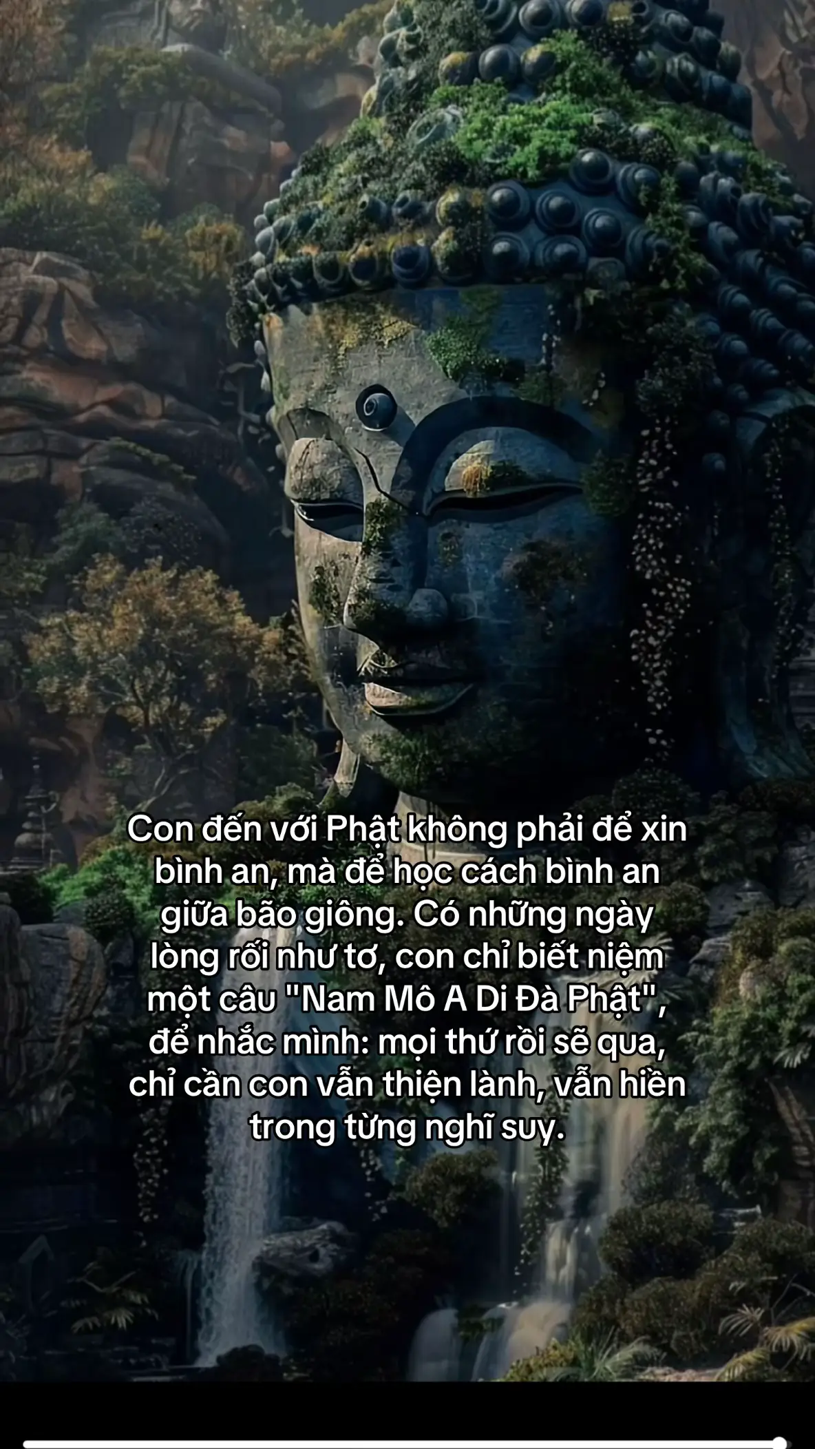 Nam Mô A Di Đà Phật 🙏🏻  #phatphapnhiemmau #phatphap #nammoadidaphat #taman #hocphatmoingay 