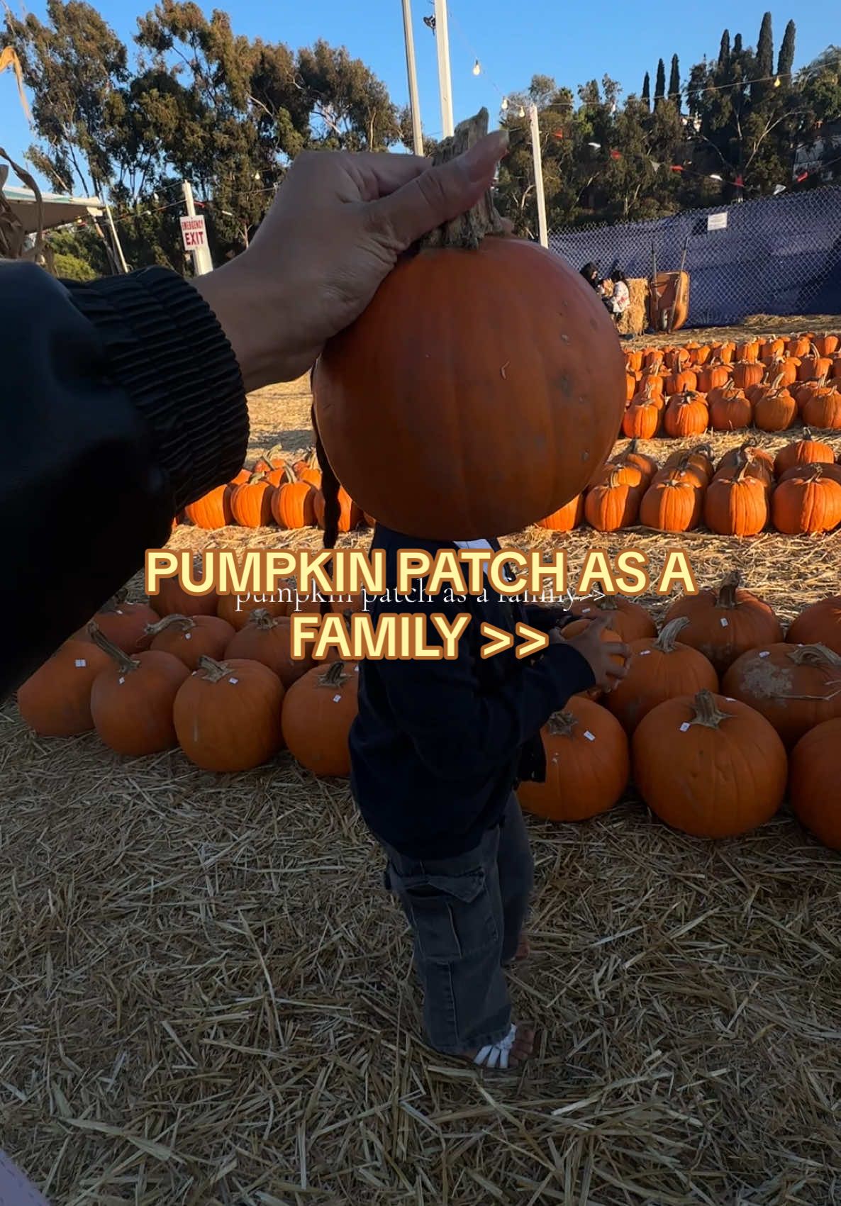 🤍 #pumpkinseason #pumpkinpatch #fall #parentsoftiktok #familytime 