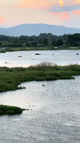 #khosiab #hmongtiktok #hmoobfyp #hmoob #hmoobtojsiab 