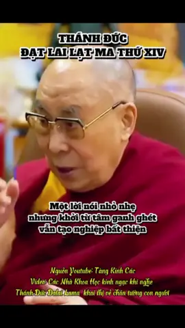 Thánh Đức Dalai Lama Thứ XIV khai thị Nguồn Youtube: Tàng Kinh Các #dalailama #datlailatma 