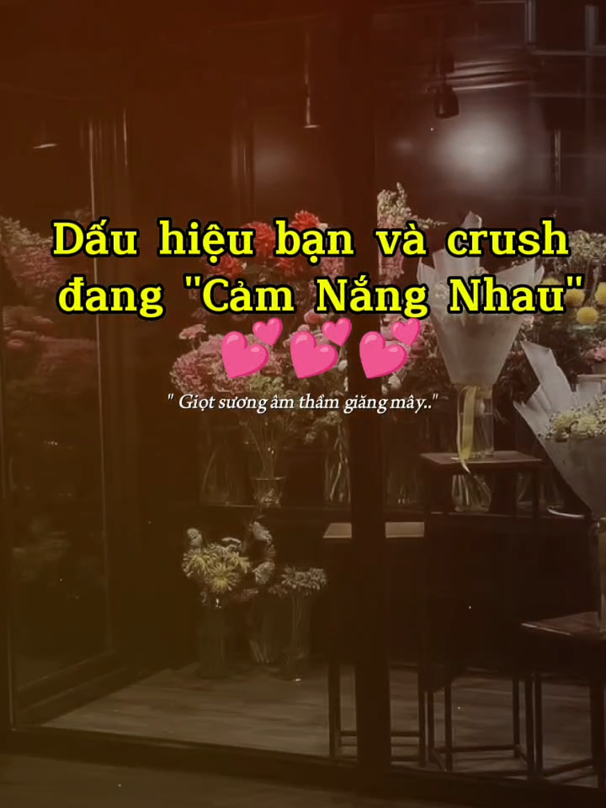 Dấu hiệu bạn và crush đang 