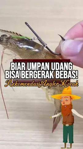 Biar udang bisa bergerak alami, lu bisa pakai shrimp hook yang satu ini aja boy. #fyp #infomancing #mancingindonesia #anglerkocak #pemancingamarah 
