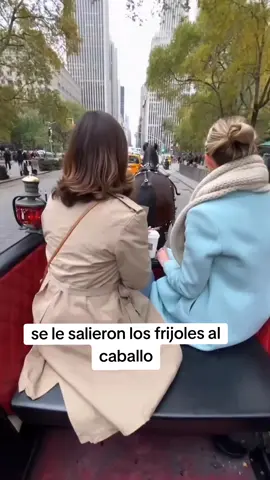 #humorrrrrr #caballos #secago #mierdaaaaaaa #fypシ゚viral🖤tiktok 
