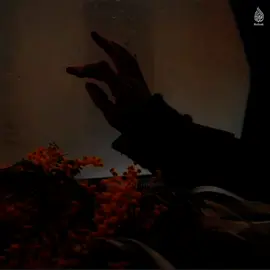 ইন শা আল্লাহ~🌷