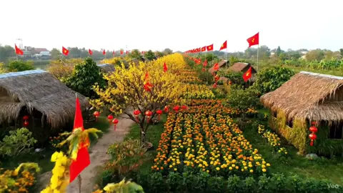 Tết Về Có Đôi Nha Mọi Người Ơi 🌼🧧🌸#tet #tet2026 #tetnguyendan2026🧧🎆🧨 #khongkhitet #viral 