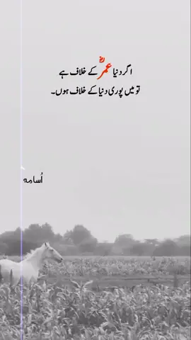 عمرؓعمرؓعمرؓعمرؓعمرؓعمرؓعمرؓعمرؓعمرؓعمرؓعمرؓ#creatorsearchinsights #usama_writers09 #islamicvideo #unfreezemyacount🙏 #my_video_viral_plzz_tiktik_team @tiktok creators 