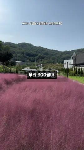 📕information 🚩 충북 청주시 상당구 남일면 가좌신송로 190-53 엔트라포레 🕛 12:00 ~ 21:50  🚗 주차정보 - 대형 주차장 완비 * 키즈존으로 아이들과 사진찍으러 빨리빨리 가세요!!! —————————————————----- 여러분 가을이 온지도 모르고  다음주부터 패딩날씨라는데.. 그냥 보내실꺼에요...?ㅠ 드뎌 선선해지고 있구나 싶은데 비만오다가 벌써 겨울온다고하는데 꺼떡 하면 가을 그냥보낸다구요... 지금 딱 신상핑크뮬리정원 청주에 생겼으니까 퇴근하고나 주말에 멀리는 못가고 어디 날좋은데 청주에 가서 바람 쐐고 싶을 때 여기 무조건 가세요 300평대 핑크뮬리정원이 딱 한달만 볼 수 있는데 여기 또 정원은 물론 밖에서 앉아서 커피 한 잔 할 수 있게 유럽 정원 느낌으로 분수까지 잘 꾸며놔서 모든 곳이 포토존 입니다..! 특히 지금 청주에서 유일하게 먹을 수 있는 무화과로 만든 각종 디저트부터 빙수까지  디저트들도 사진찍기 너무 이쁘니까 얼마 안남은 가을 여기는 무조건 저장하고 다녀오세요! —————————————————----- #청주맛집 #대전맛집 #세종맛집 #청주여행 #세종여행   