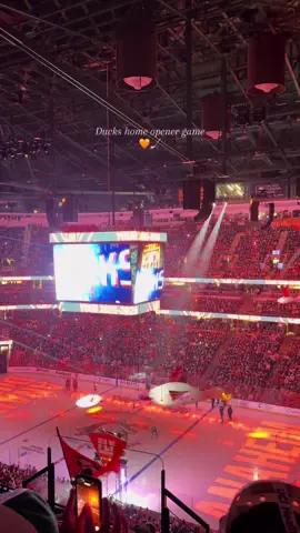 Told him I’ve always wanted to go to a hockey game🧡🧡  #duckshockey #anaheimducks #oc #hondacenter #october 