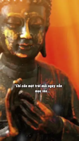 Nhẹ nhàng mà nhìn Bình thản mà đối diện  Đơn giản mà sống #nammoadidaphat #nammobonsuthichcamauniphat 