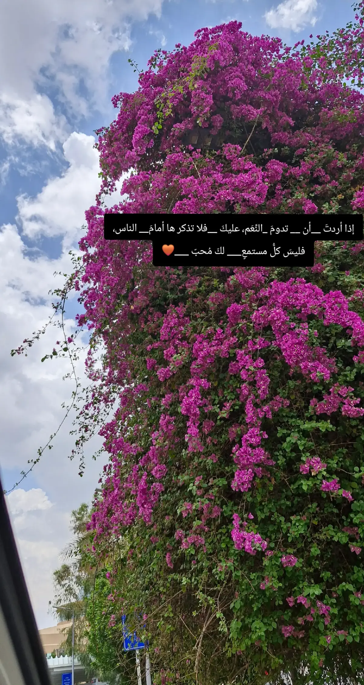 #يارب #اسعد #قلبي #الطائف #تصوري📸 