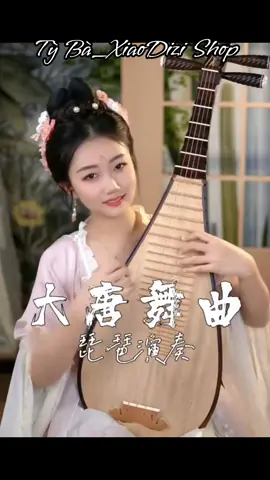 #xiaodizi #nhạccụ #tỳbà #hoàtấu #tayduki 