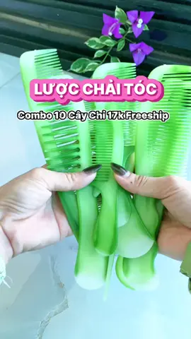 #combo10cayluoc #tienichmintus 