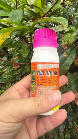 VUABO TR! Chế Phẩm NOFARA 350 sc. #shopputintonghop #xuhuong #xuhuongtiktok #vuabotri #botri 