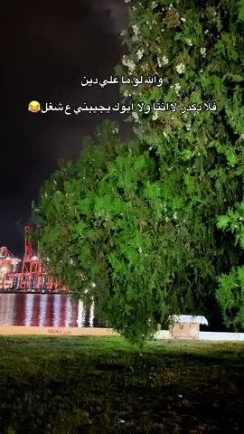 #لايك #اكسبلور #اعادة_النشر🔃 @عريبان 🤎🗞️ 