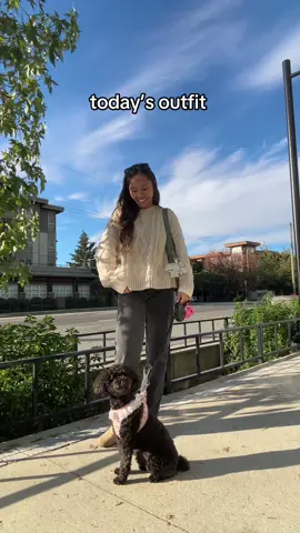 with my little separation anxiety doggy 