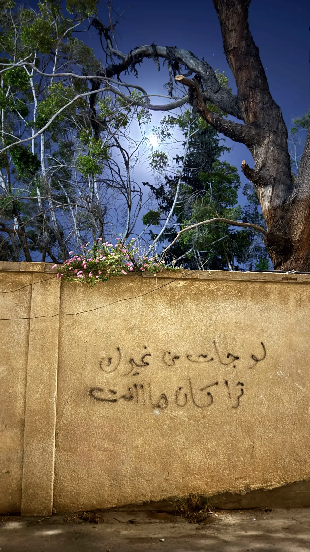 #fyp #foryou #اكسبلور #عبارات #هاشتاق 